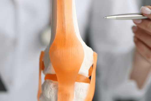 Gonartrosi: Cos’è, Sintomi e Come Curare il Dolore al Ginocchio - Fisioterapia Fani